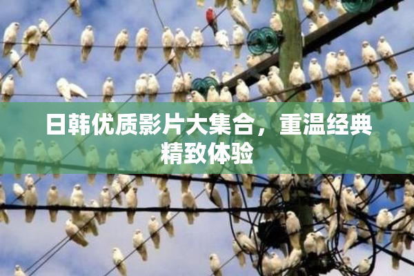 日韩优质影片大集合，重温经典精致体验