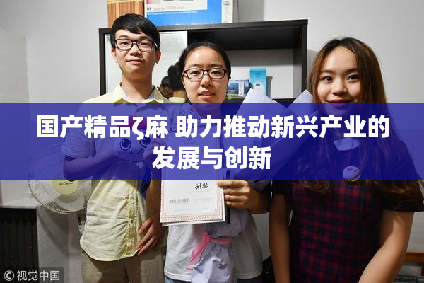 国产精品ζ麻 助力推动新兴产业的发展与创新