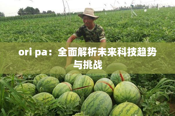ori pa：全面解析未来科技趋势与挑战