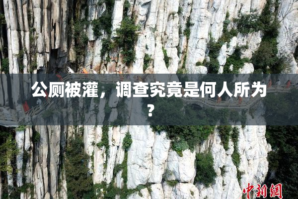 公厕被灌，调查究竟是何人所为？