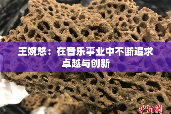 王婉悠：在音乐事业中不断追求卓越与创新