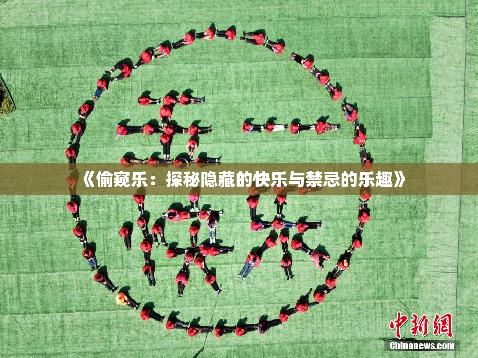 《偷窥乐：探秘隐藏的快乐与禁忌的乐趣》