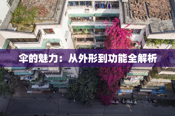 伞的魅力：从外形到功能全解析