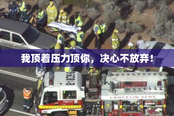 我顶着压力顶你，决心不放弃！