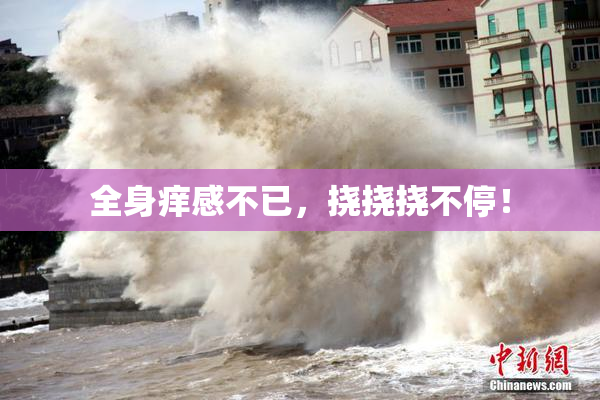 全身痒感不已，挠挠挠不停！