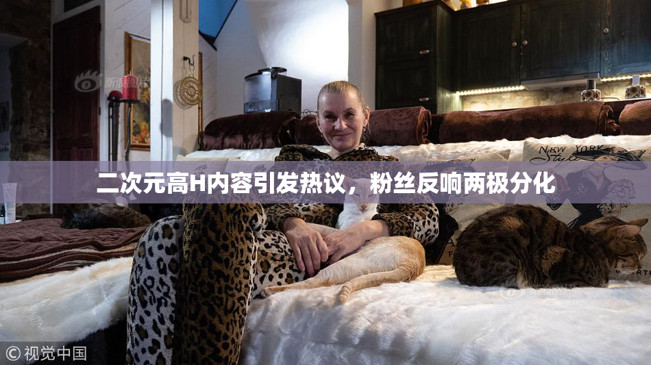 二次元高H内容引发热议，粉丝反响两极分化