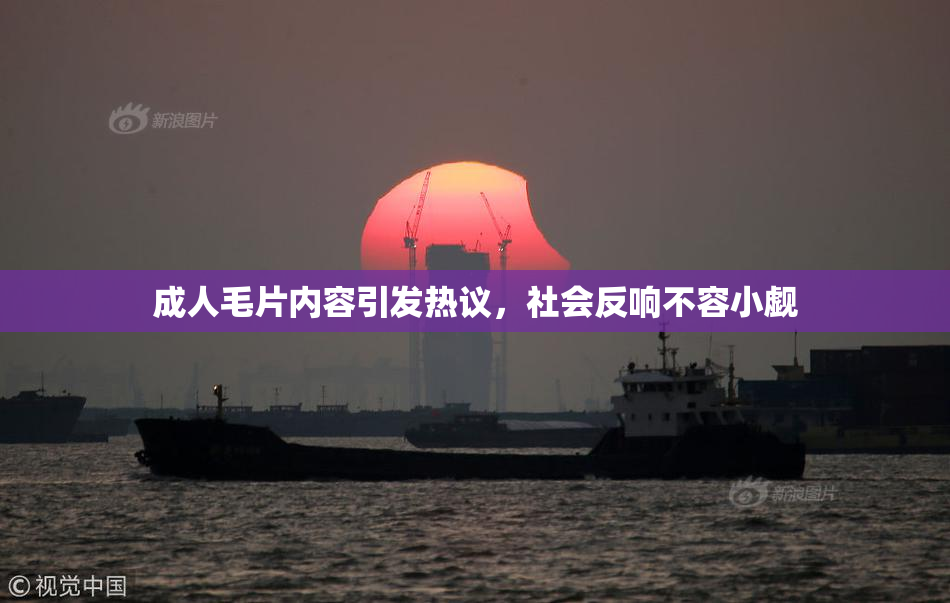成人毛片内容引发热议，社会反响不容小觑