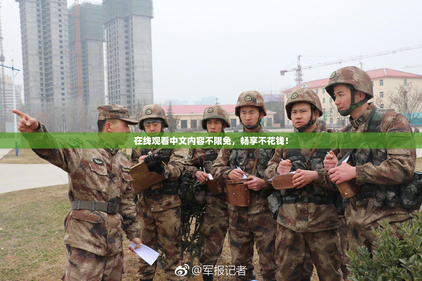 在线观看中文内容不限免，畅享不花钱！