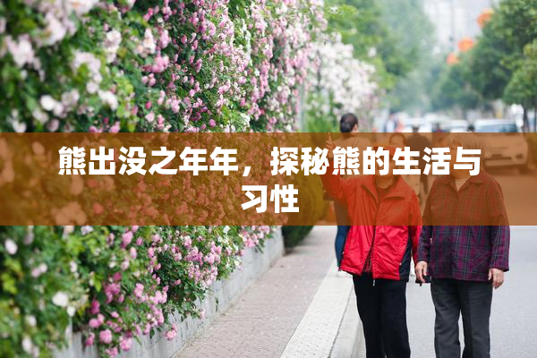 熊出没之年年，探秘熊的生活与习性