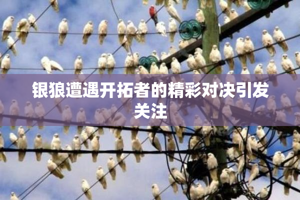 银狼遭遇开拓者的精彩对决引发关注