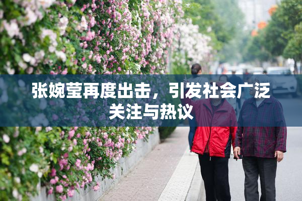 张婉莹再度出击，引发社会广泛关注与热议