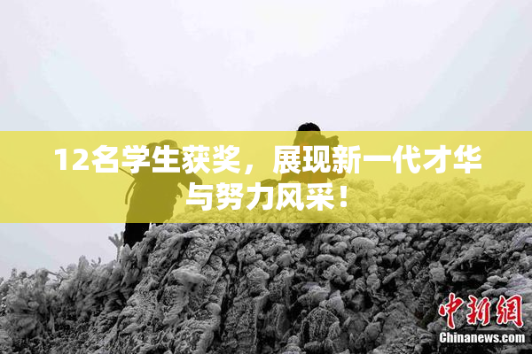 12名学生获奖，展现新一代才华与努力风采！