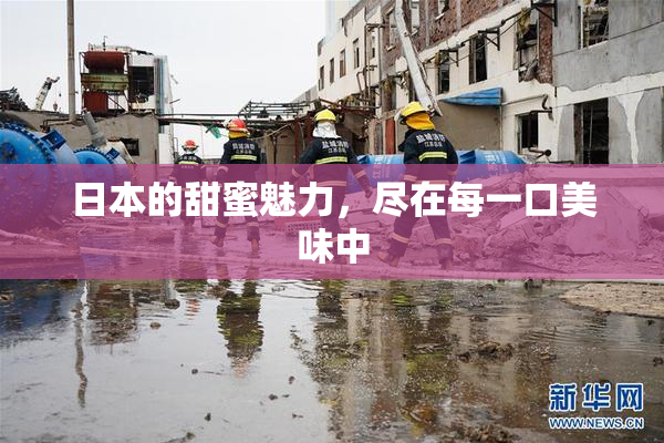 日本的甜蜜魅力，尽在每一口美味中