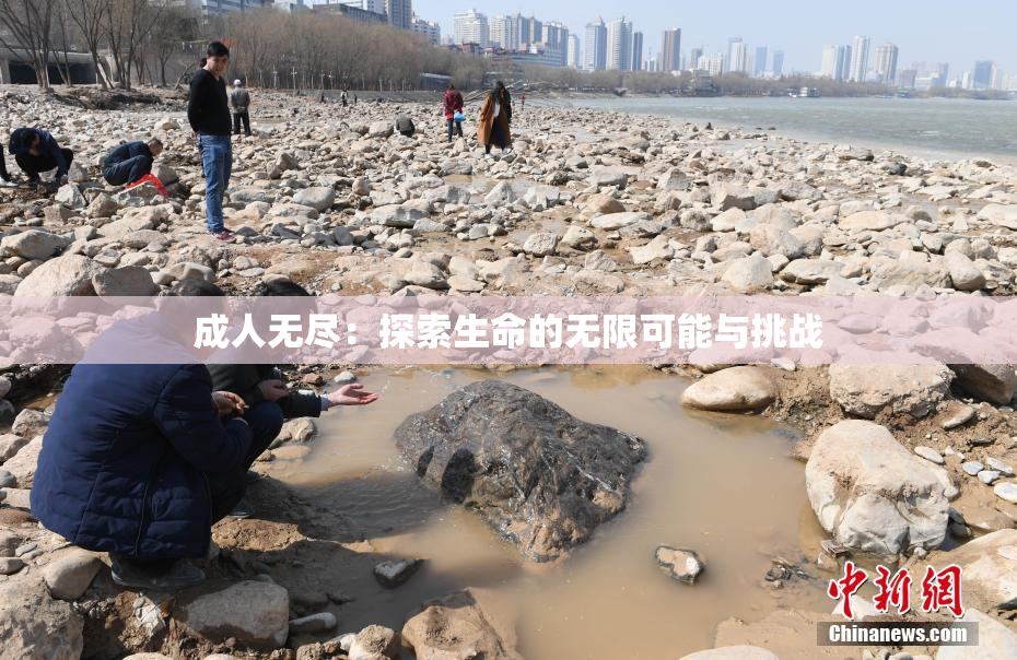 成人无尽：探索生命的无限可能与挑战