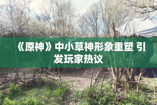 《原神》中小草神形象重塑 引发玩家热议