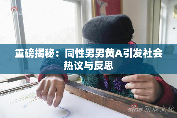重磅揭秘：同性男男黄A引发社会热议与反思