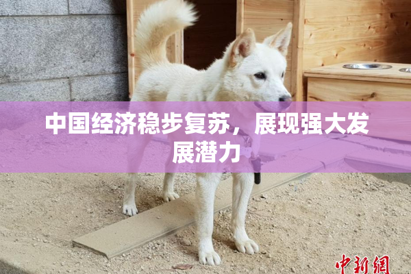 中国经济稳步复苏，展现强大发展潜力