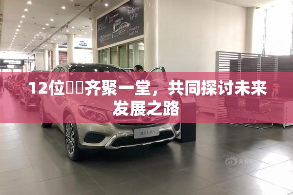12位妺妺齐聚一堂，共同探讨未来发展之路
