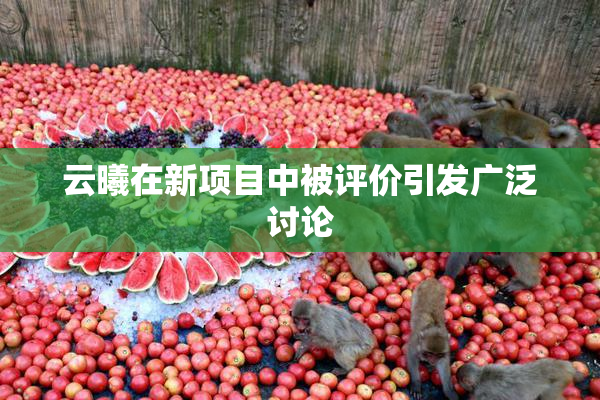 云曦在新项目中被评价引发广泛讨论