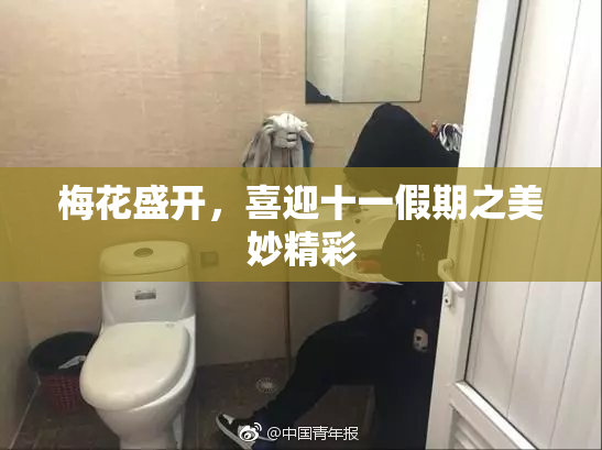 梅花盛开，喜迎十一假期之美妙精彩