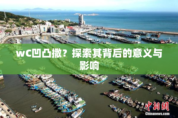 wC凹凸撒？探索其背后的意义与影响