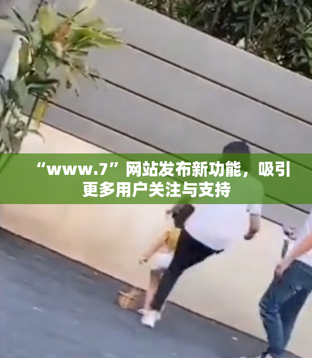 “www.7”网站发布新功能，吸引更多用户关注与支持