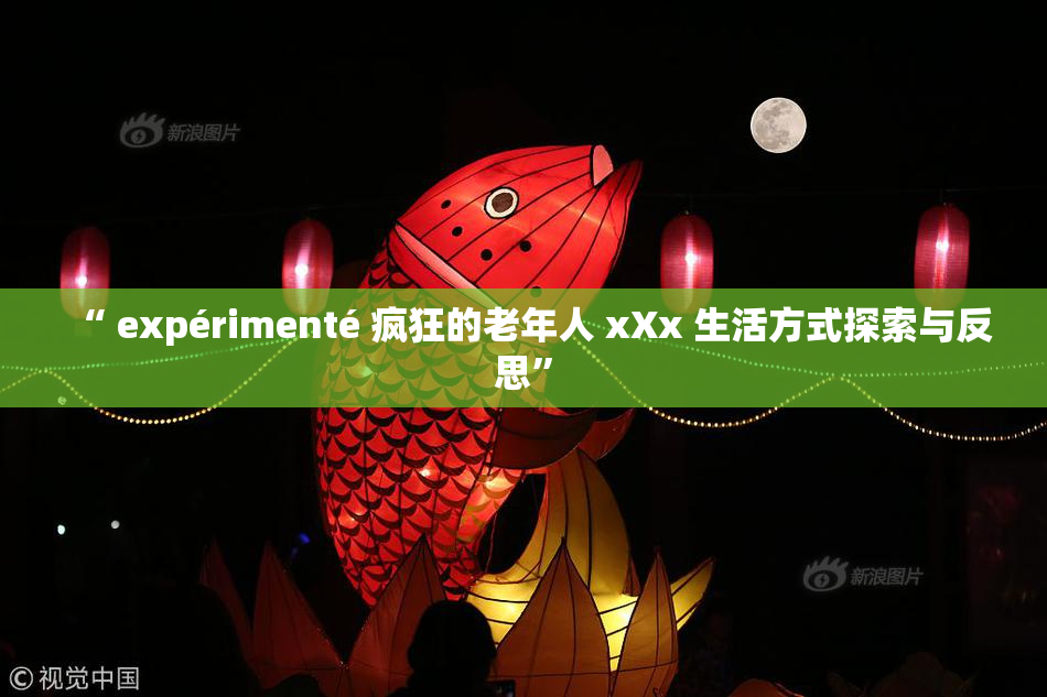 “ expérimenté 疯狂的老年人 xXx 生活方式探索与反思”