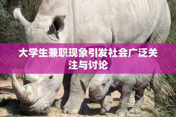 大学生兼职现象引发社会广泛关注与讨论