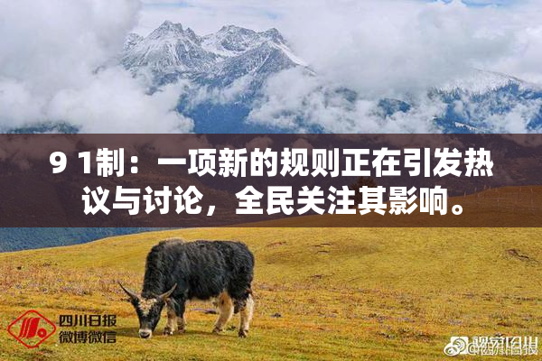 9 1制：一项新的规则正在引发热议与讨论，全民关注其影响。