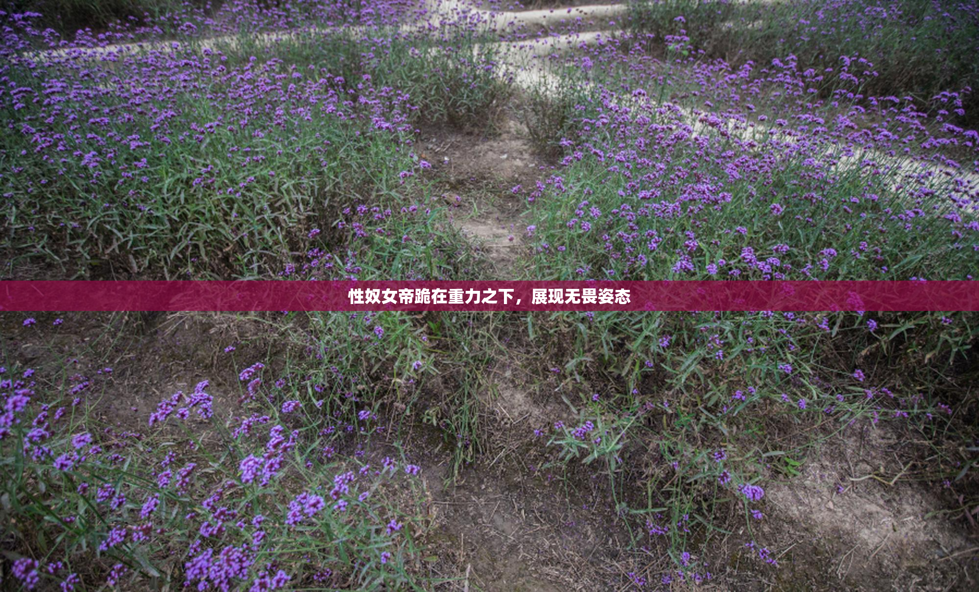 性奴女帝跪在重力之下，展现无畏姿态