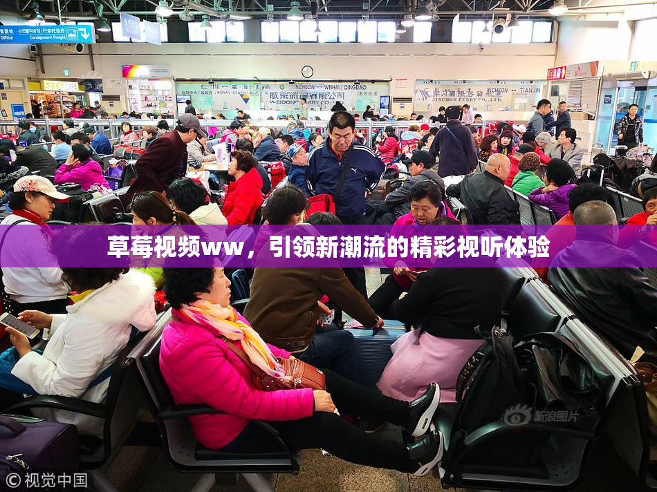 草莓视频ww，引领新潮流的精彩视听体验