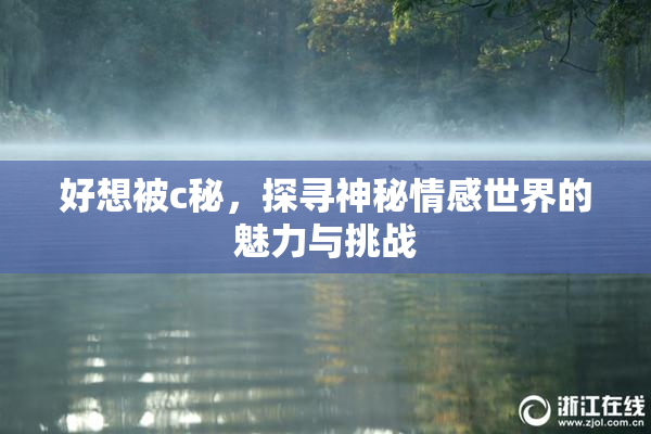好想被c秘，探寻神秘情感世界的魅力与挑战