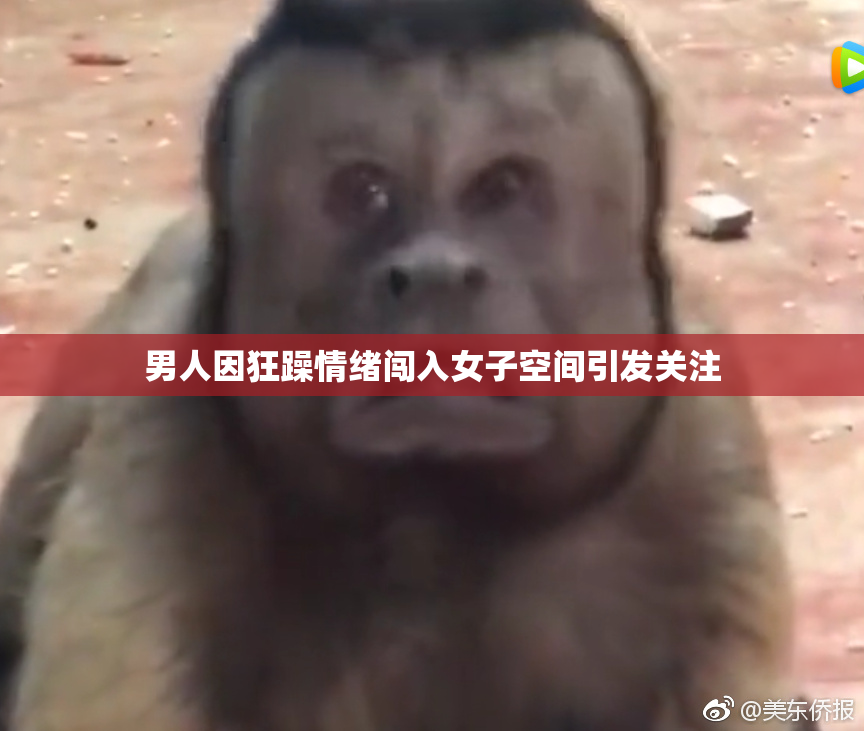 男人因狂躁情绪闯入女子空间引发关注