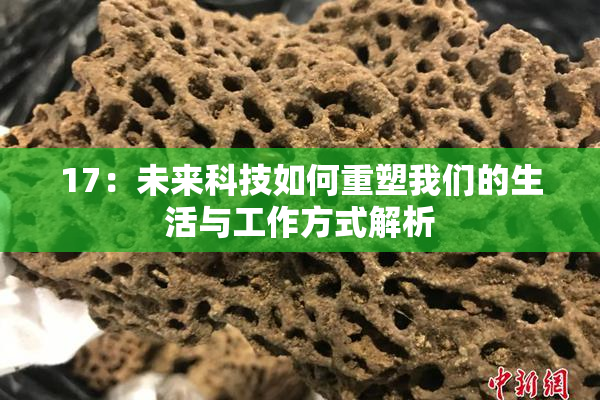 17：未来科技如何重塑我们的生活与工作方式解析