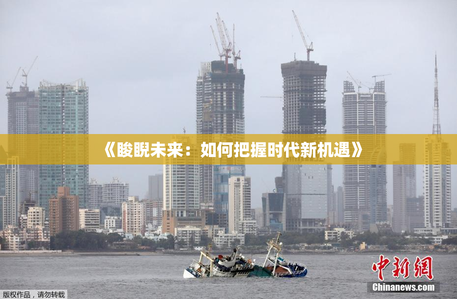《睃睨未来：如何把握时代新机遇》