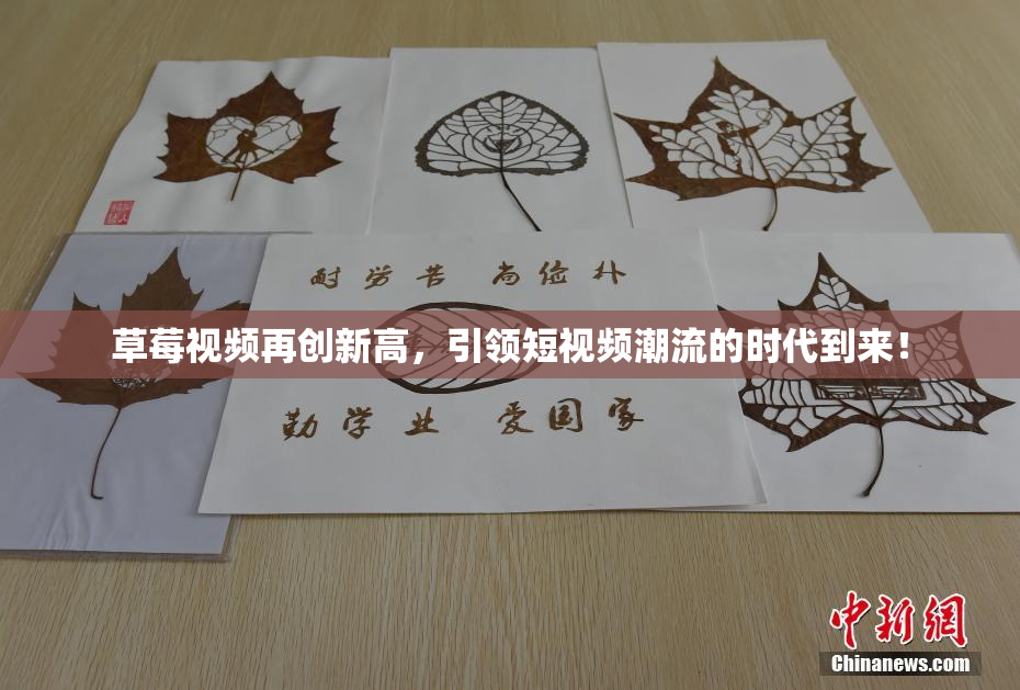 草莓视频再创新高，引领短视频潮流的时代到来！