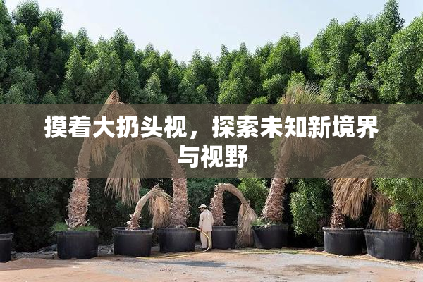 摸着大扔头视，探索未知新境界与视野