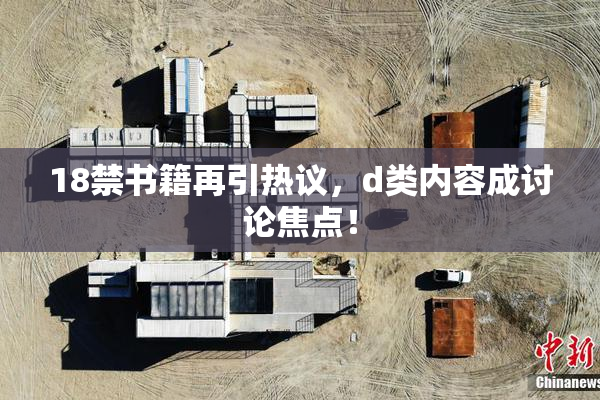 18禁书籍再引热议，d类内容成讨论焦点！