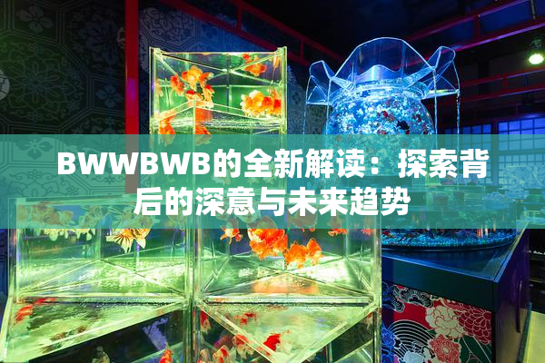 BWWBWB的全新解读：探索背后的深意与未来趋势