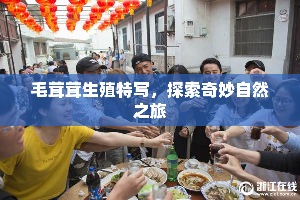 毛茸茸生殖特写，探索奇妙自然之旅