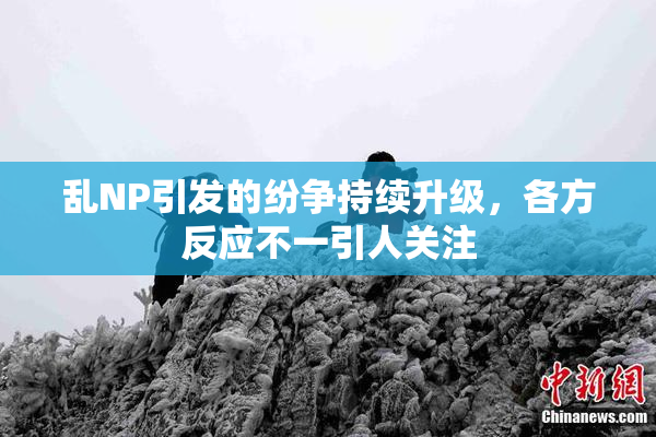 乱NP引发的纷争持续升级，各方反应不一引人关注