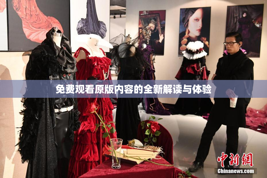 免费观看原版内容的全新解读与体验