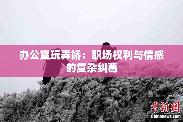 办公室玩弄娇：职场权利与情感的复杂纠葛
