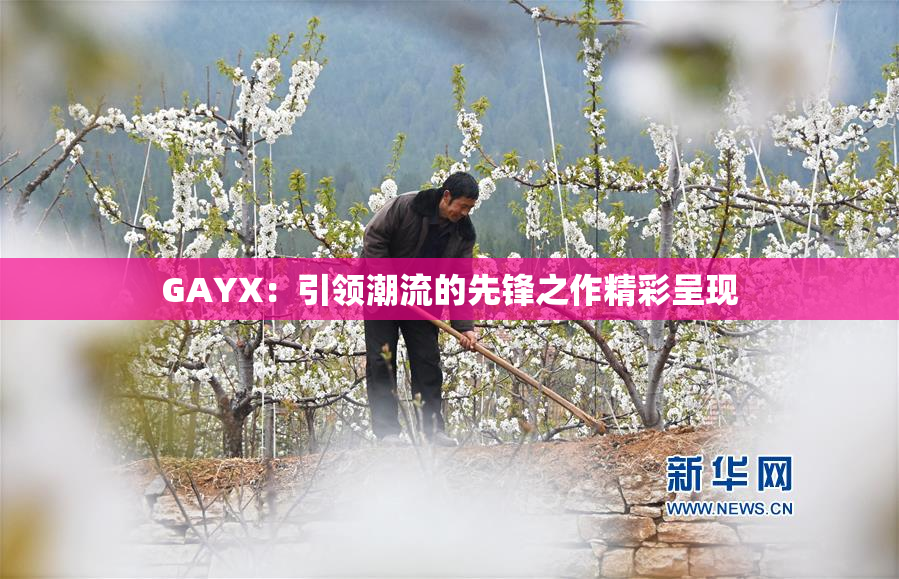 GAYX：引领潮流的先锋之作精彩呈现