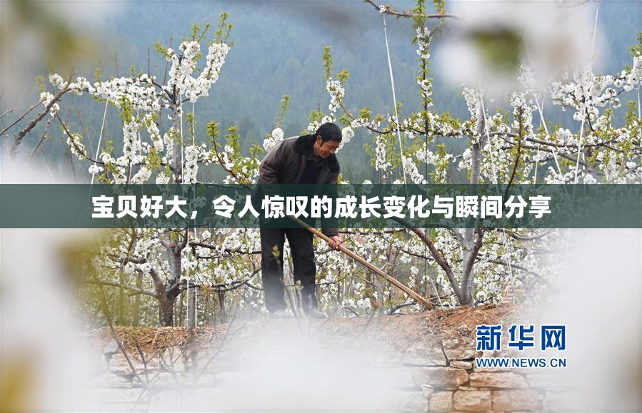 宝贝好大，令人惊叹的成长变化与瞬间分享