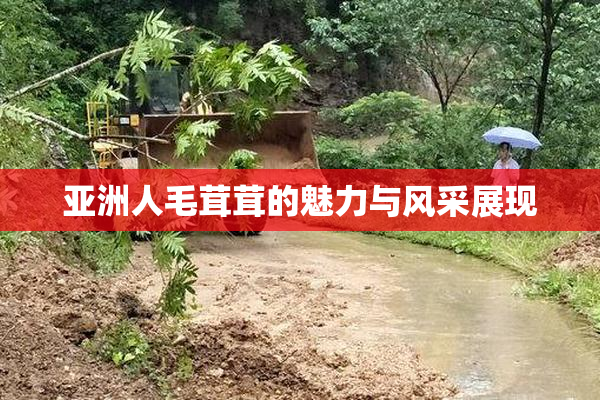 亚洲人毛茸茸的魅力与风采展现