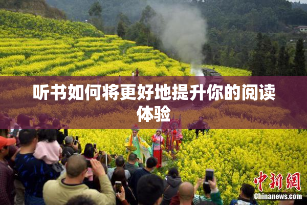听书如何将更好地提升你的阅读体验
