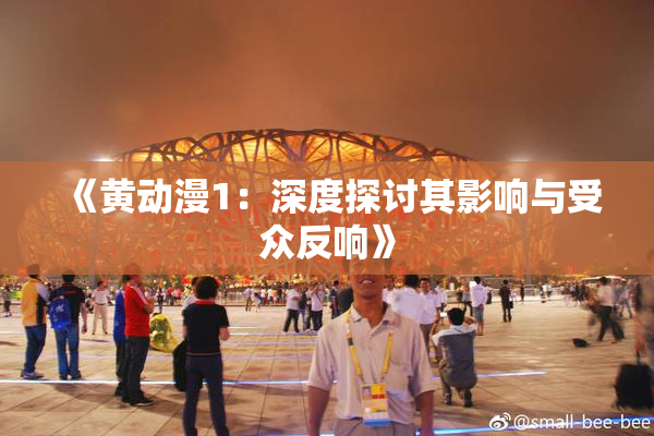 《黄动漫1：深度探讨其影响与受众反响》