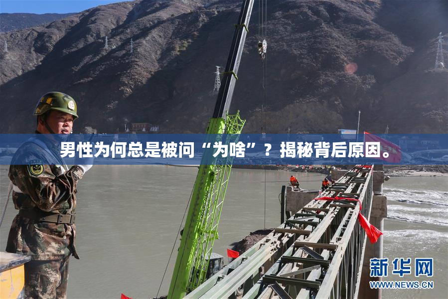 男性为何总是被问“为啥”？揭秘背后原因。