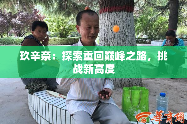 玖辛奈：探索重回巅峰之路，挑战新高度